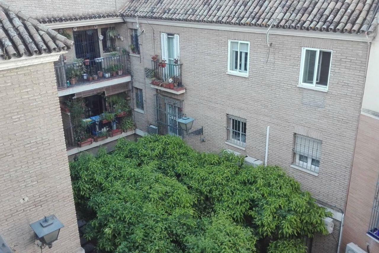 Alfalfa Home Sewilla Zewnętrze zdjęcie